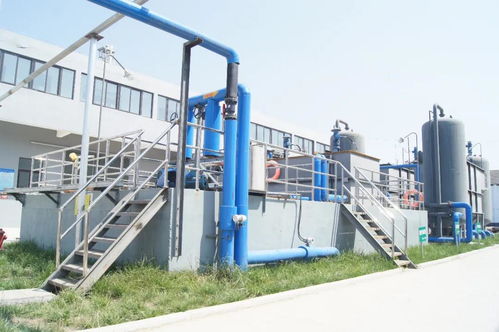 湯溝酒業榮膺“江蘇省綠色工廠”稱號，以綠色發展引領行業新風尚